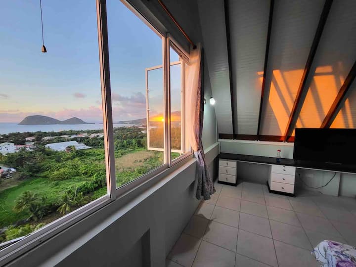 Balisier Apt 5 -Spacious, King Beds, Awesome View! - Dominique