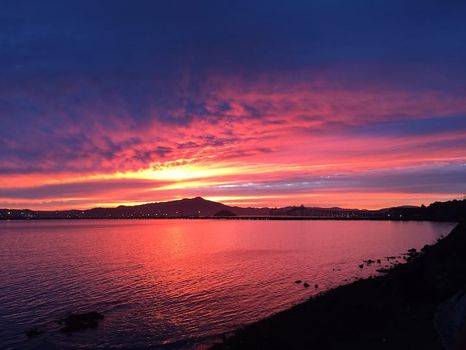 Tiburon, CA Apartments and Condos For Rent cozycozy