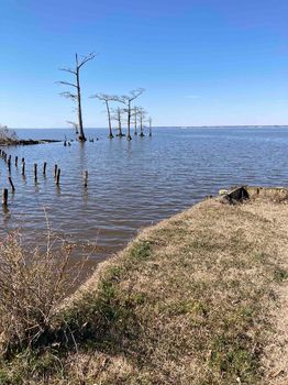 Pettigrew State Park, Creswell airbnb, hotels and vacation rentals