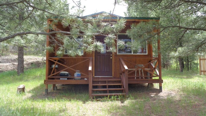 Off-grid 1 Room Cabin Nestled In The Pines, 420 Ok - Larkspur, CO