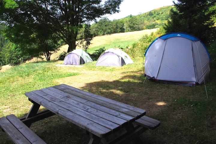 Camping Des Milans - Vic-sur-Cère