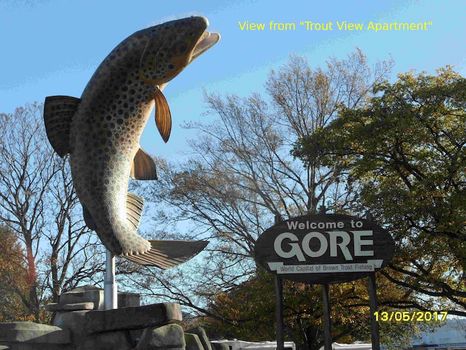 Gore Apartments and Condos For Rent cozycozy