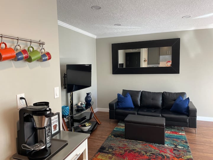Hip and modern remodeled condo in the Avenues - Salt Lake City
