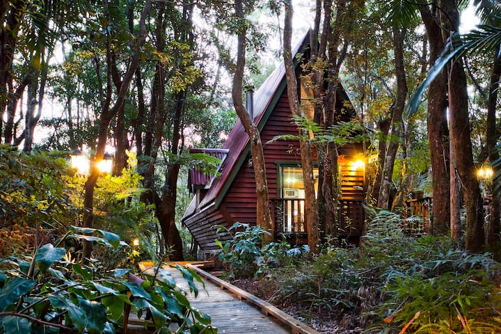 The mouses house rainforest retreat - Gold Coast