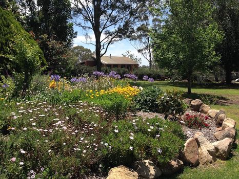 Toowoomba Vacation Rentals and Airbnb cozycozy