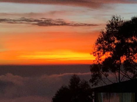 Villa in Kodaikanal at the Best Price cozycozy