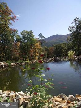 Luray, VA Holiday Apartments and Self Catering cozycozy