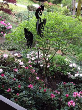 499 Bellevue, WA Short Term and Weekly Rentals cozycozy