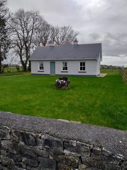 Apartments and Condos For Rent cozycozy