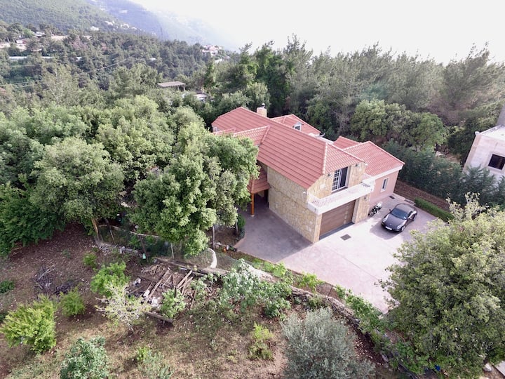 Villa Gabriel - Liban
