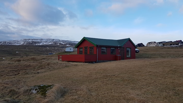 Thorshavn frit beliggende med flot natur og dyr. - Îles Féroé