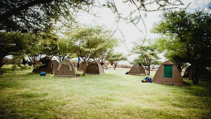 Camper au Maasai Giraffe Eco camp - Tanzanie