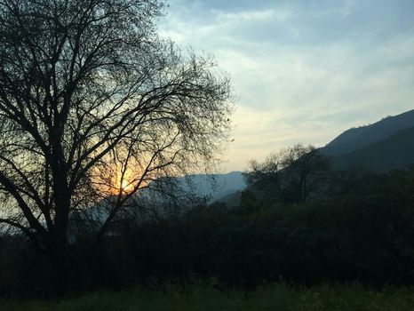 Three Rivers, CA Vacation Rentals and Airbnb cozycozy