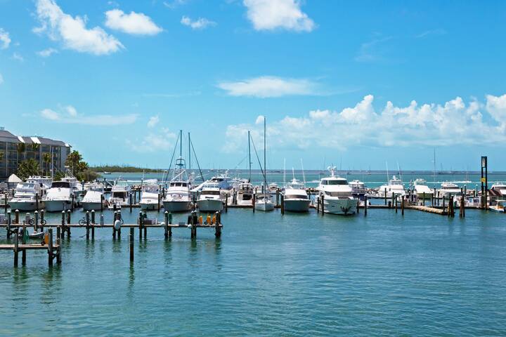 See Historic Seaport Suite W Harbor View & Terrace - Key West, FL