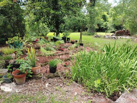 Jasper, FL Vacation Rentals & Airbnb COZYCOZY