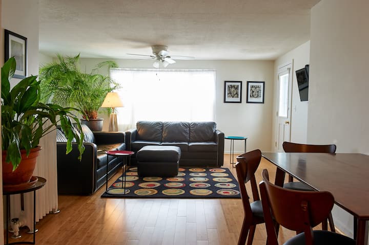 Two Bedroom upstairs airy modern apartment - Viroqua