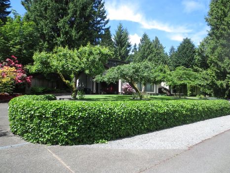 Kirkland, WA Holiday Rentals and Airbnb cozycozy