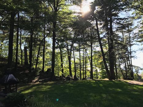 Eden, NY Apartments and Condos For Rent cozycozy