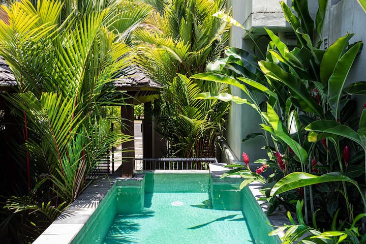 An Exceptional, High Quality Holiday Retreat With  Easy Access Onto The Famous Four Mile Beach - Port Douglas