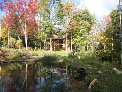 DAR State Forest, Goshen airbnb, hotels and vacation rentals