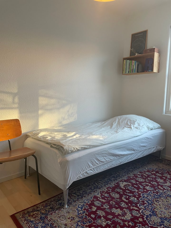 Great room in the center of Nørrebro - Copenaghen