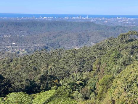 Tamborine Mountain Vacation Rentals and Airbnb cozycozy