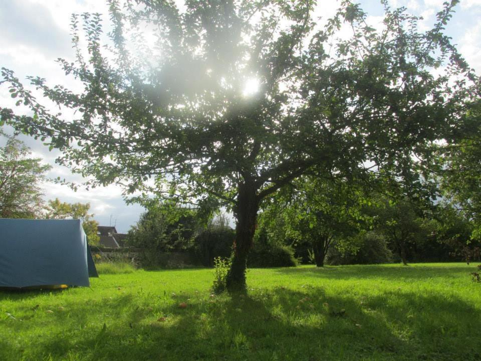 Fontaineblhostel Hostel & Camping Near Fontainebleau - Seine-et-Marne