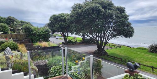 Taranaki Cheapest best deals on cozycozy