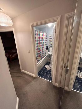 Lusk Apartments and Condos For Rent cozycozy