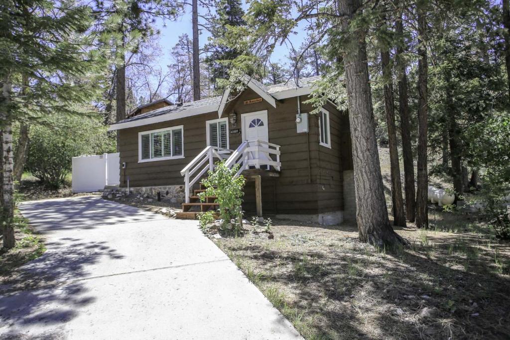 Grizzly Bear By Big Bear Cool Cabins - California