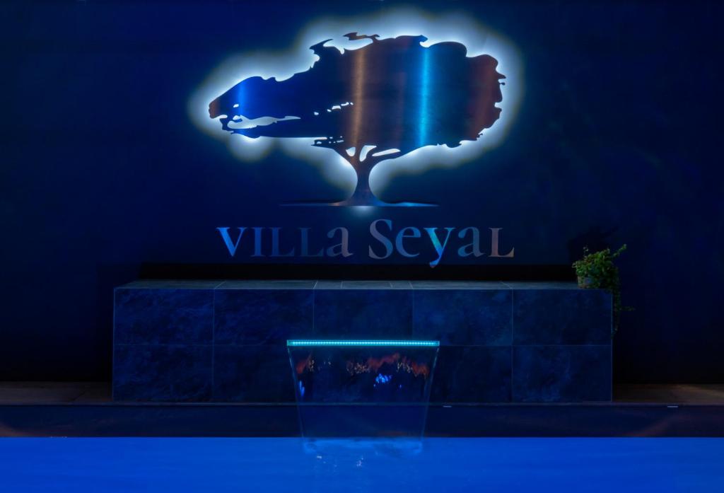Villa Seyal - Piscine-sauna-jacuzzi -10 Pers- 1 Maison & 1 Appartement - Même Propriété - Le Mans