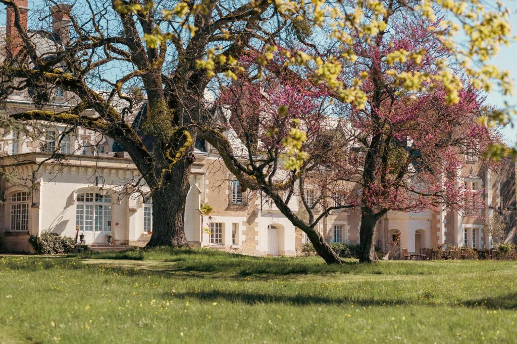 Château De Razay - Saint-Aignan-sur-Cher