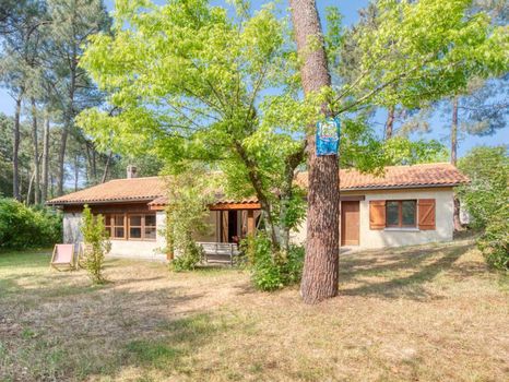 Étang de Lacanau : Airbnb, Hôtels et Locations | cozycozy