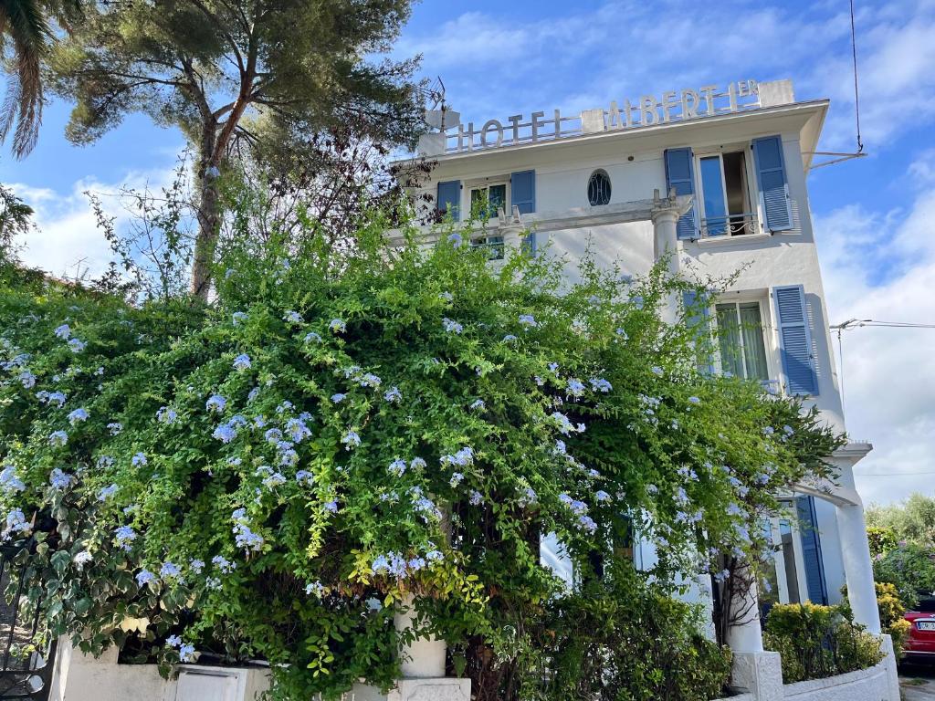 Hotel Albert 1er - Cannes
