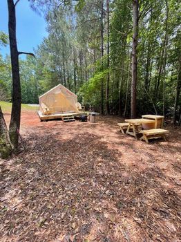 Lake Hartwell Holiday Parks and RV rentals cozycozy