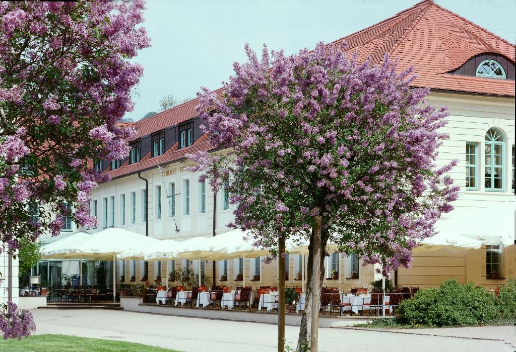 Schloss Hotel Dresden Pillnitz - Dresden