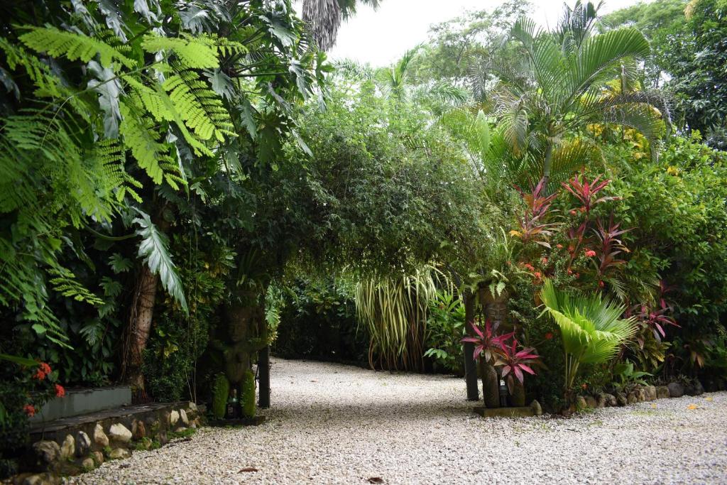 Pachamama Lodge - Costa Rica