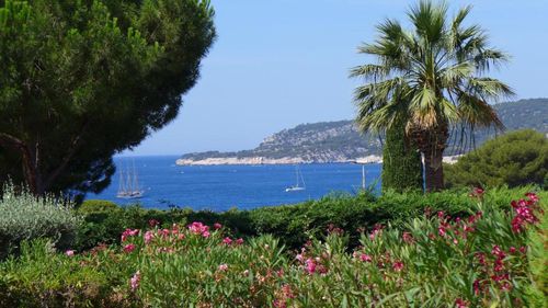 Cassis Vacation Rentals & Airbnb COZYCOZY