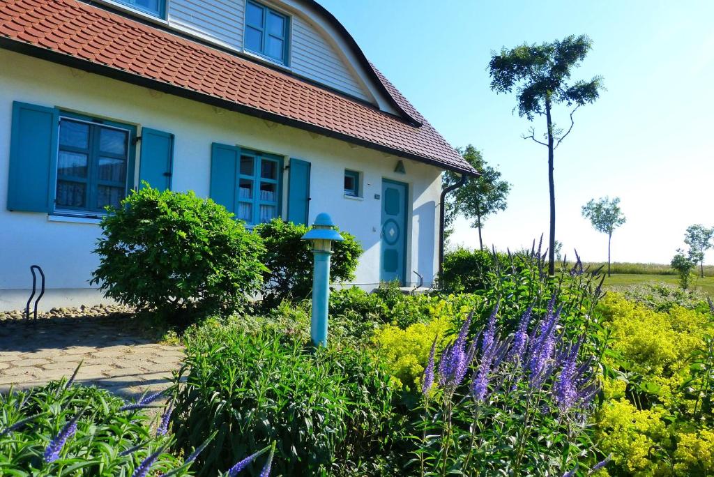 Ferienhaus-sonnenblume - Ostsee