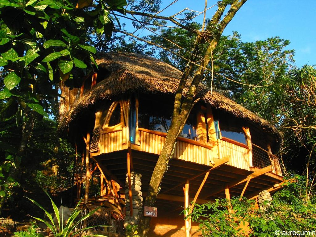Vanira Lodge - Polynésie française