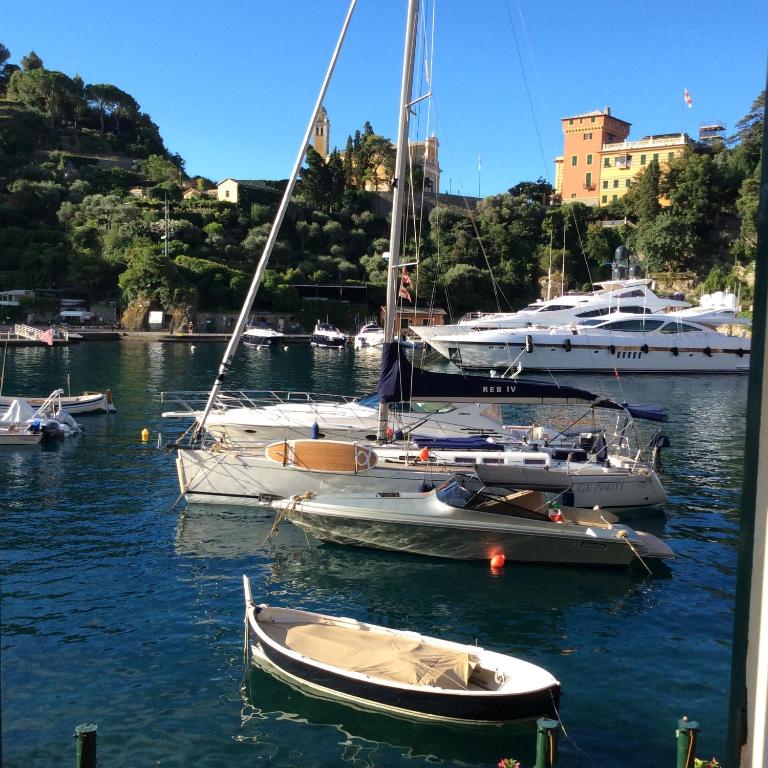 Pieds dans l'eau à Portofino - Portofino
