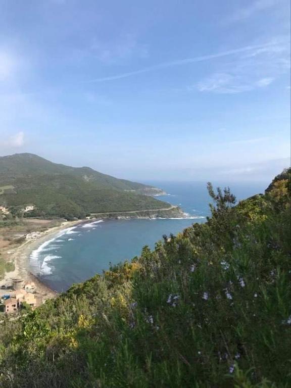 Pietracorbara les Chênes - Korsika