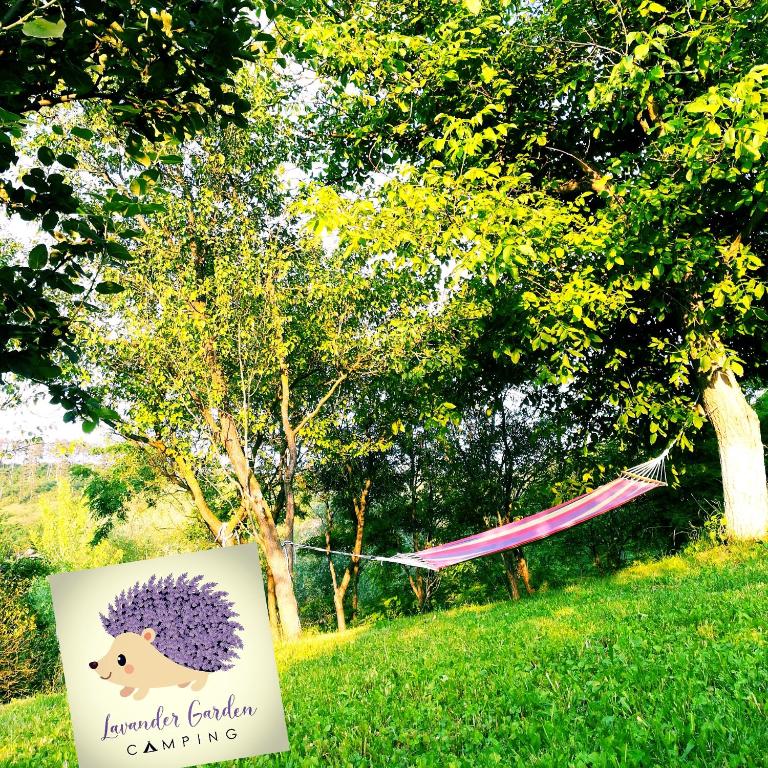 Lavender Garden Camping - Roumanie