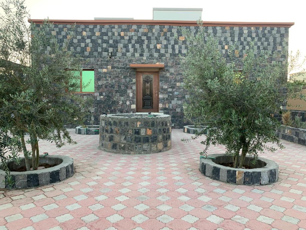 Aljabal Al Akhdar Olive Tree Guest house - Oman