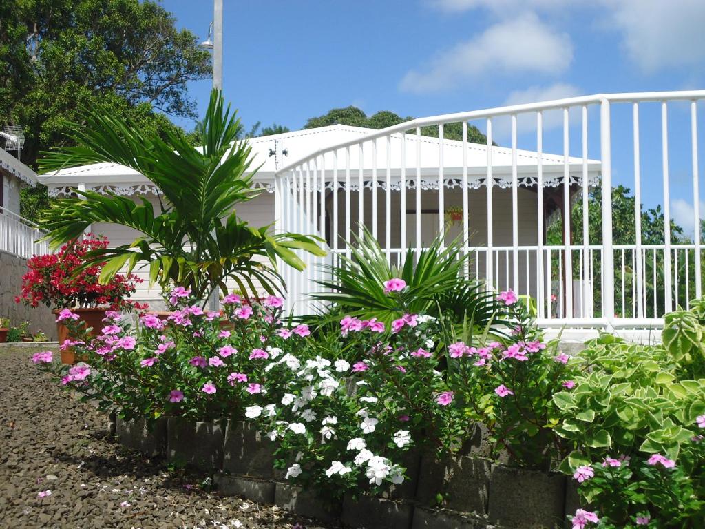 Grenadier - Martinique