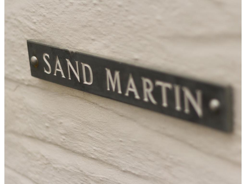 Sand Martin - Looe