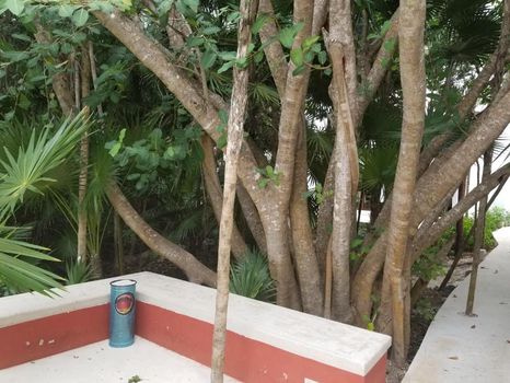 Akumal Apartments and Condos For Rent cozycozy