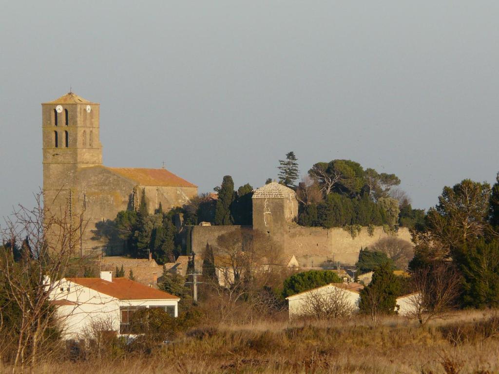 Château De Puichéric - Occitanie