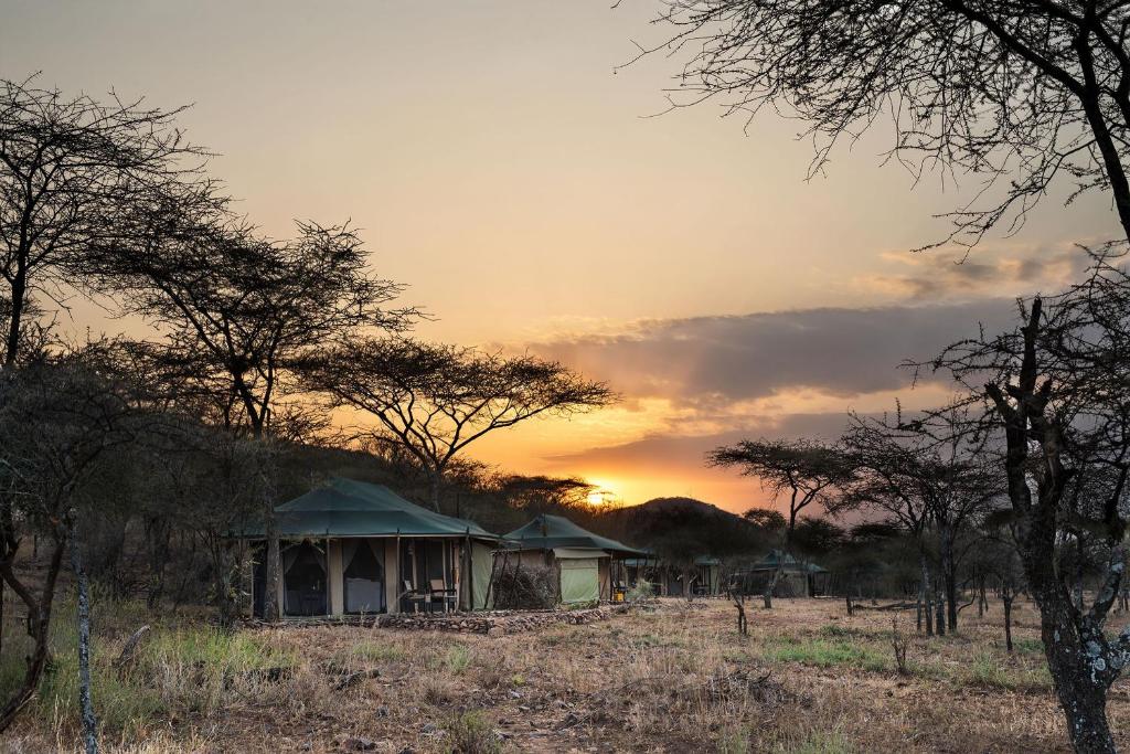 Ole Serai Luxury Camp - Tanzanie