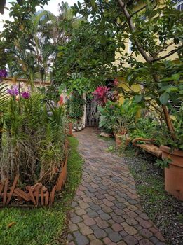 Jamaica Bed and Breakfasts at the Best Price cozycozy